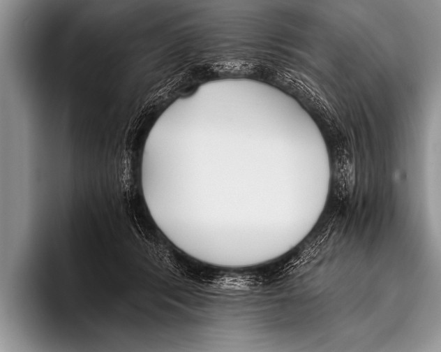 X0000096180416200802081503