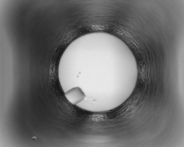X0000096180418200802081503