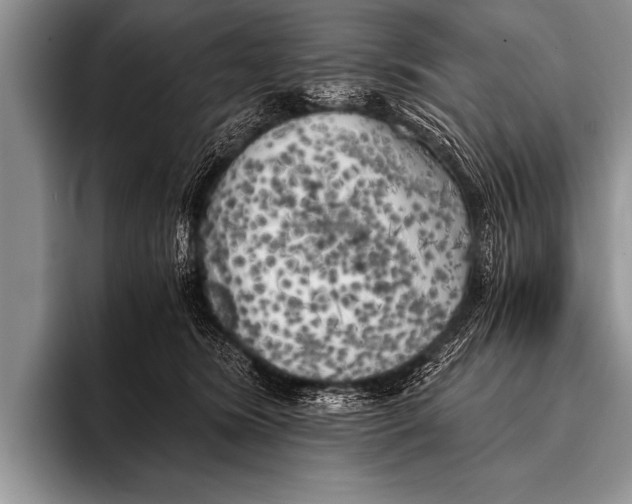 X0000096180420200802081503