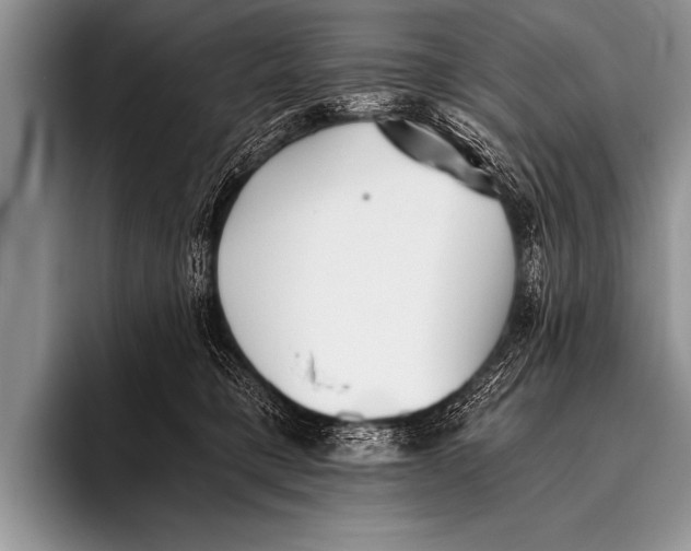 X0000096180421200802081503