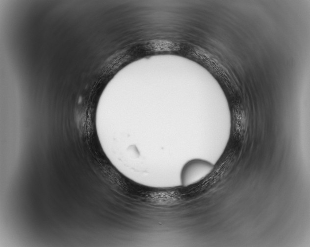 X0000096180422200802081503
