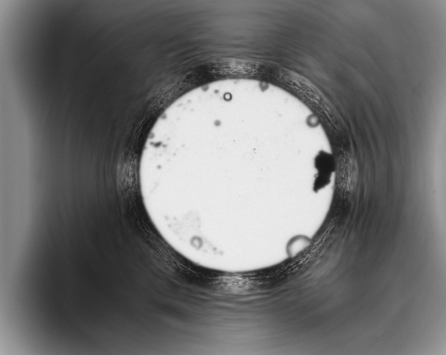 X0000096180425200802081503