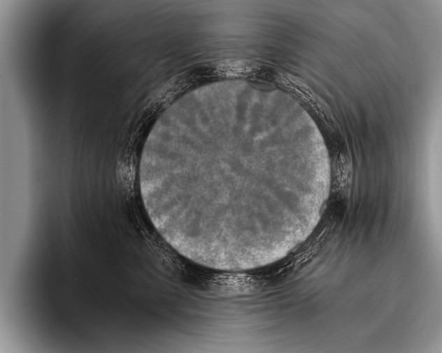 X0000096180427200802081503