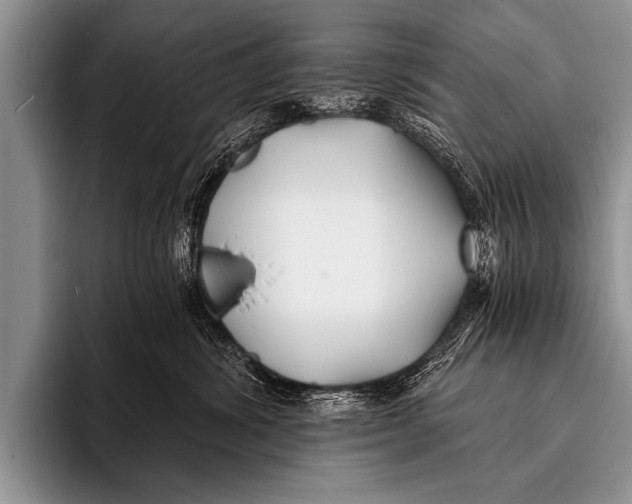 X0000096180428200802081503
