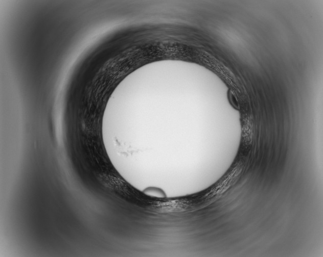 X0000096180430200802081503