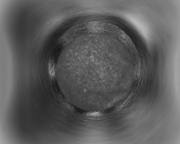 X0000096180431200802081503