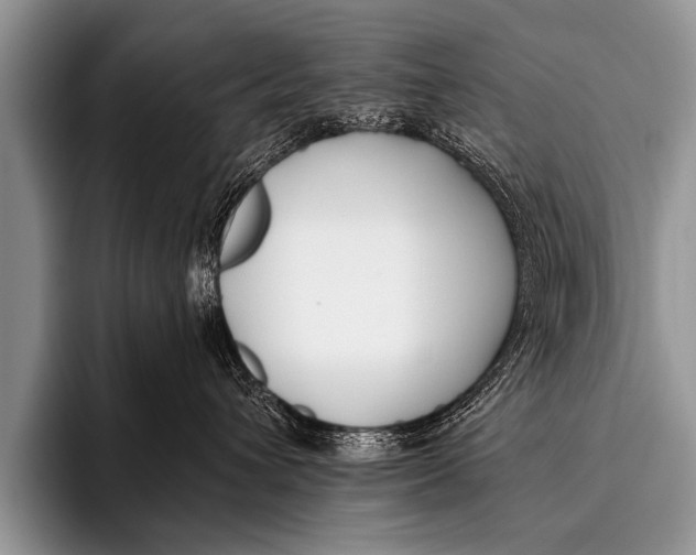 X0000096180432200802081503