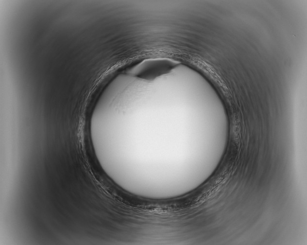 X0000096180434200802081502