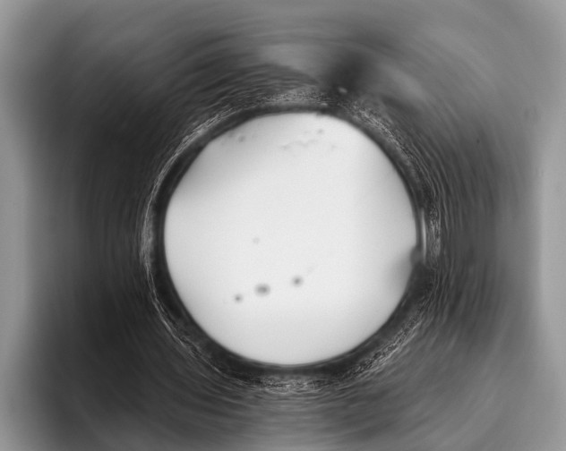 X0000096180435200802081502
