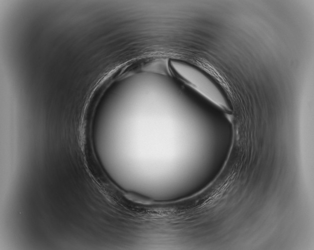 X0000096180436200802081502