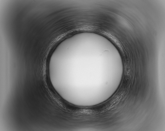 X0000096180437200802081502