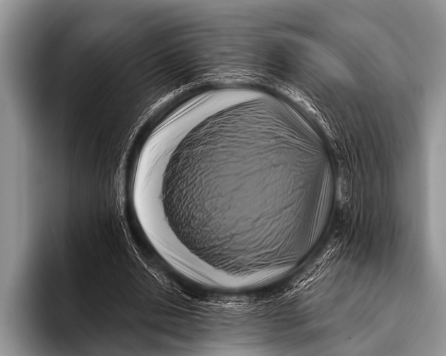 X0000096180438200802081502