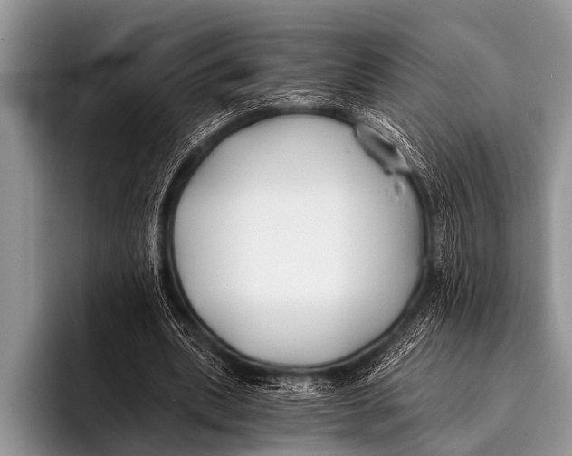 X0000096180439200802081502