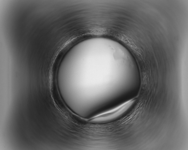 X0000096180440200802081502