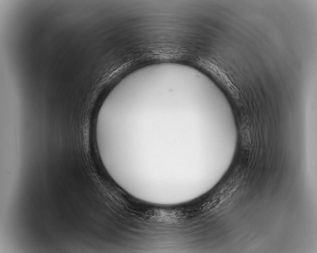 X0000096180442200802081503
