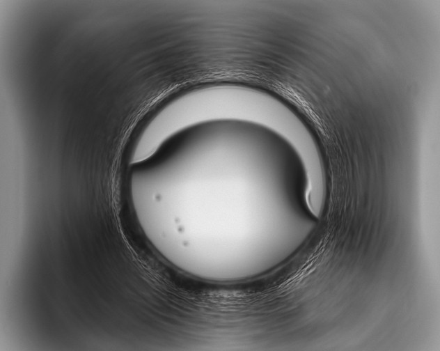 X0000096180444200802081503