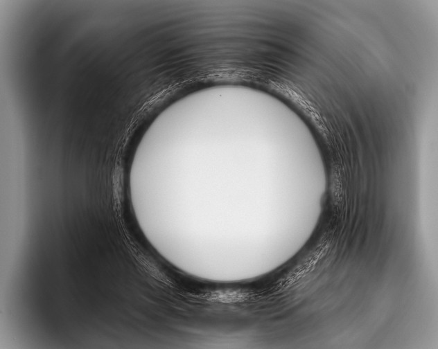 X0000096180445200802081503