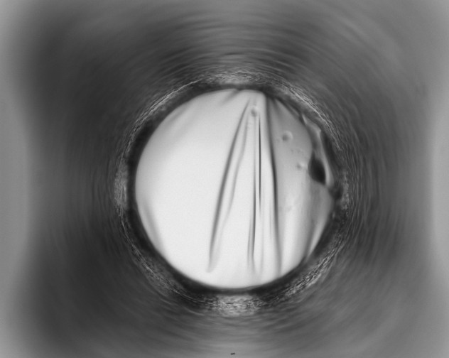 X0000096180446200802081503