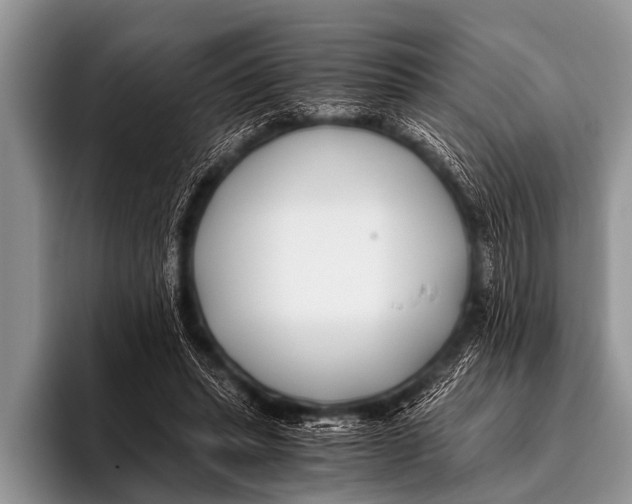 X0000096180447200802081503