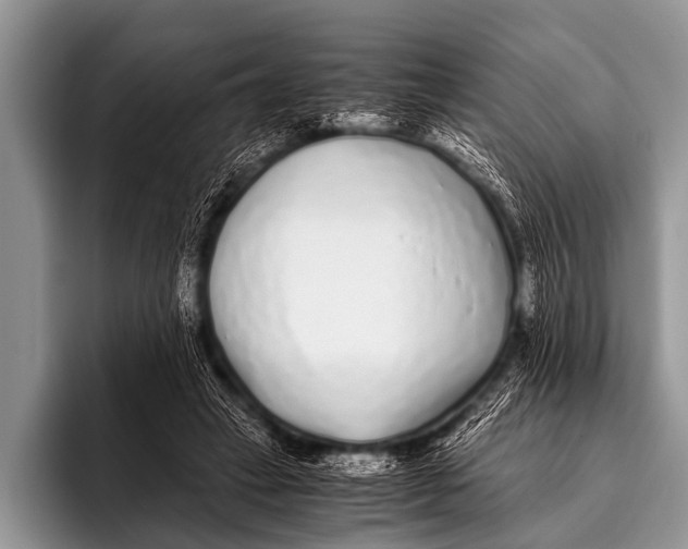 X0000096180449200802081503