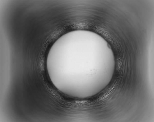 X0000096180450200802081503