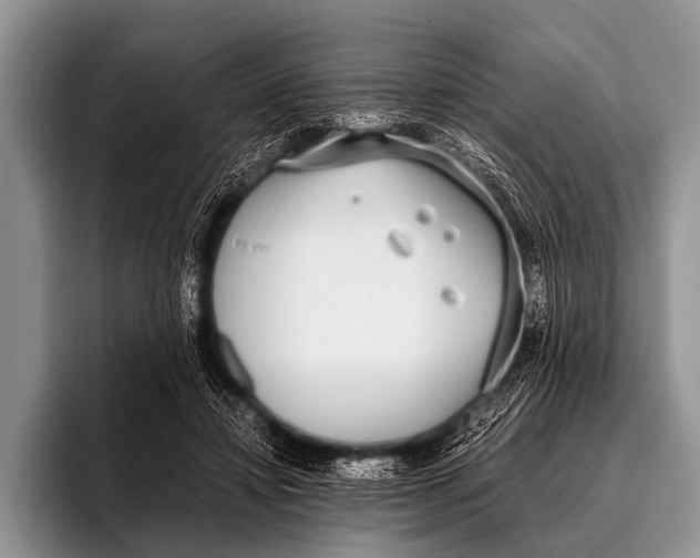 X0000096180452200802081503