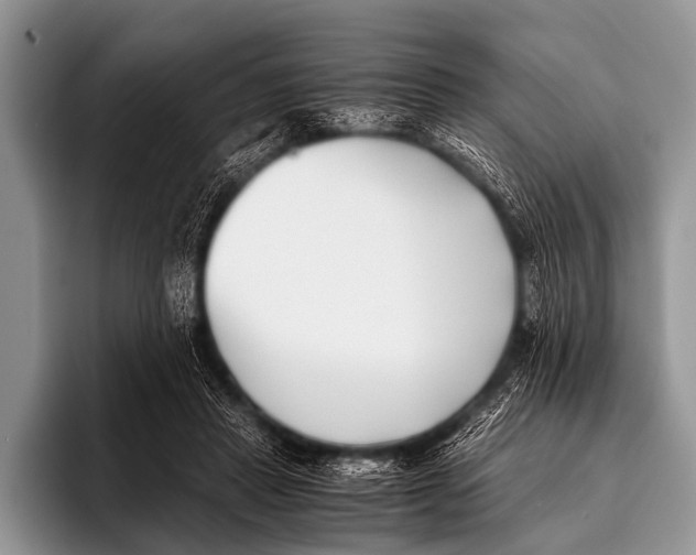 X0000096180453200802081503