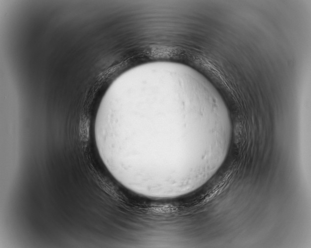 X0000096180454200802081503