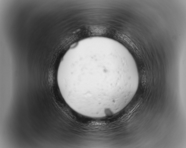 X0000096180455200802081503