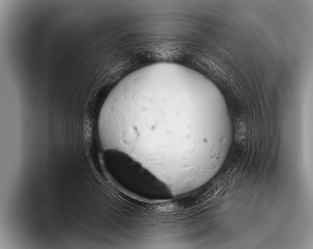 X0000096180456200802081503