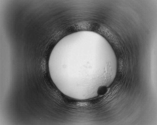 X0000096180457200802081503