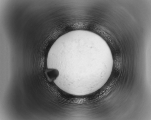 X0000096180458200802081503
