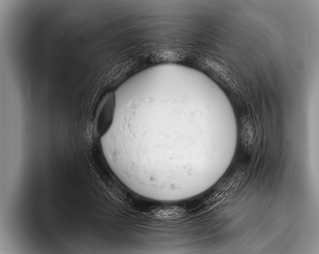 X0000096180459200802081503