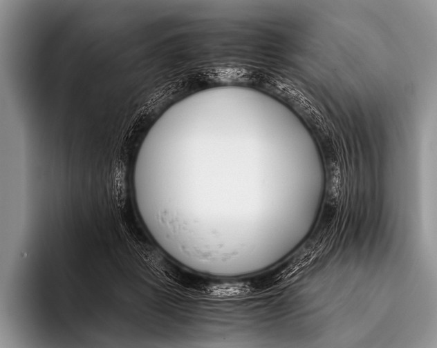 X0000096180461200802081503