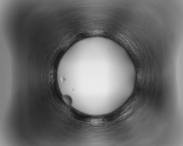 X0000096180462200802081503