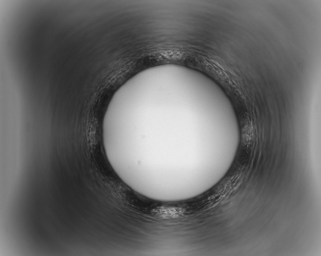 X0000096180464200802081503