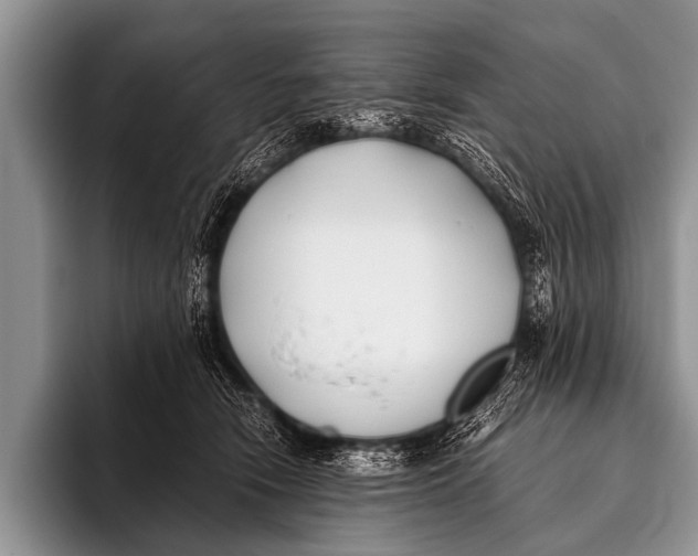 X0000096180466200802081503