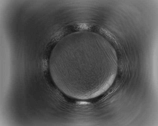 X0000096180467200802081503