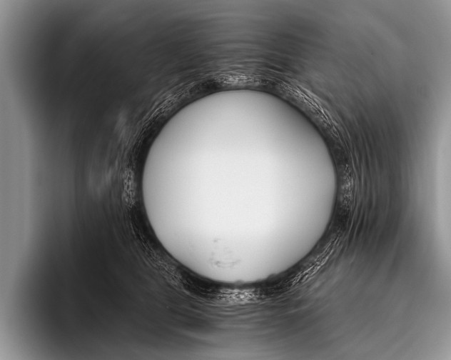 X0000096180469200802081503