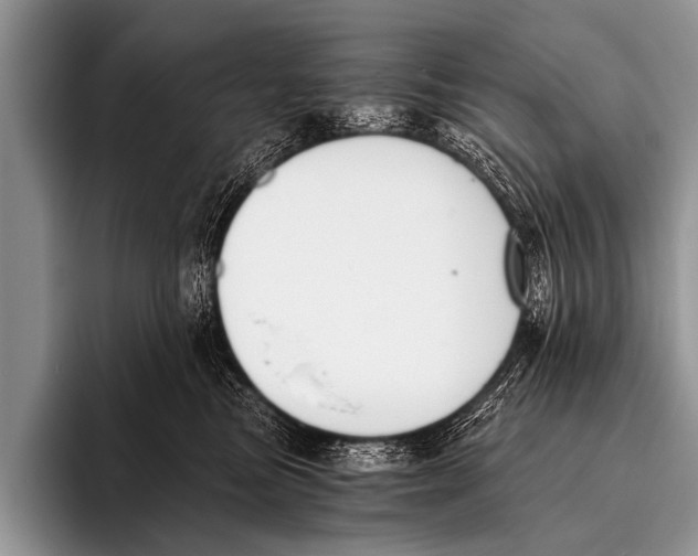 X0000096180473200802081503