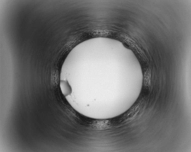 X0000096180474200802081503