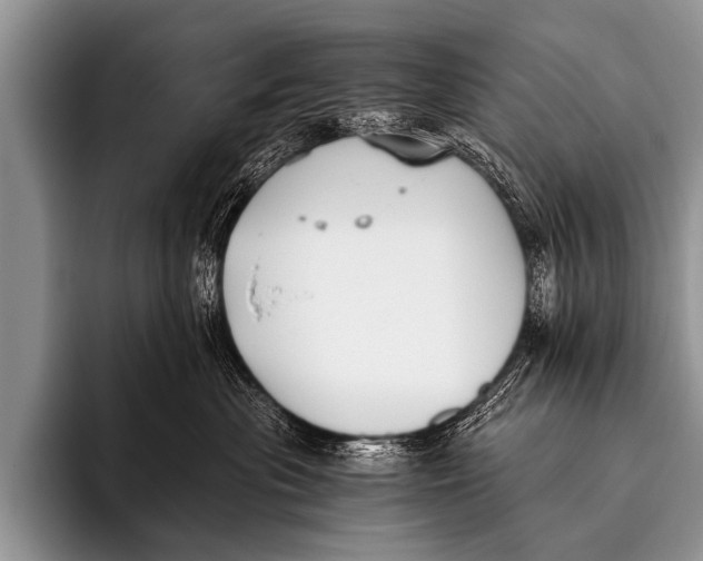 X0000096180477200802081503