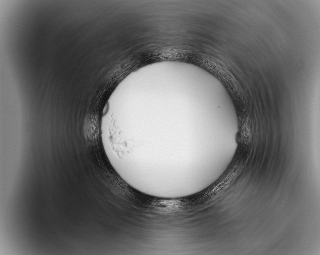 X0000096180478200802081503