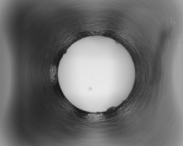 X0000096180480200802081503