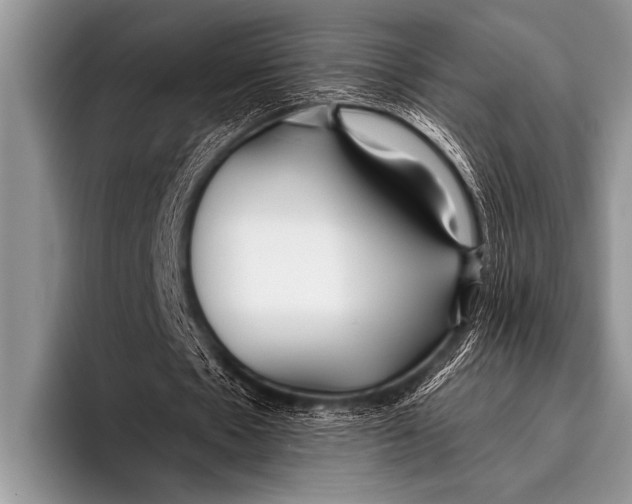 X0000096180481200802081502