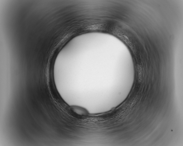 X0000096180482200802081502