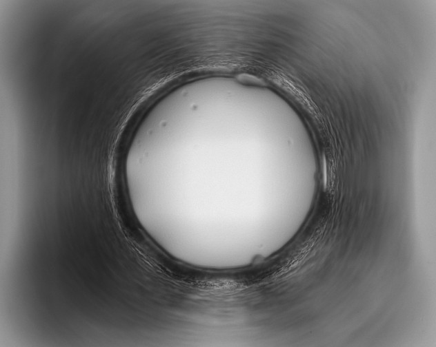 X0000096180483200802081502