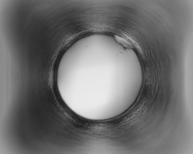 X0000096180485200802081502