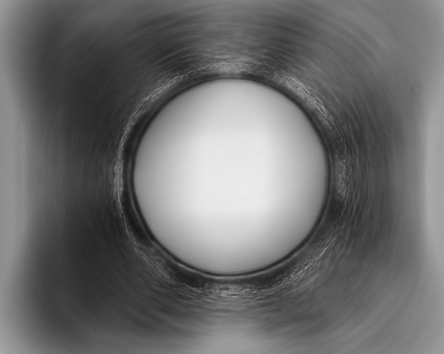 X0000096180486200802081502