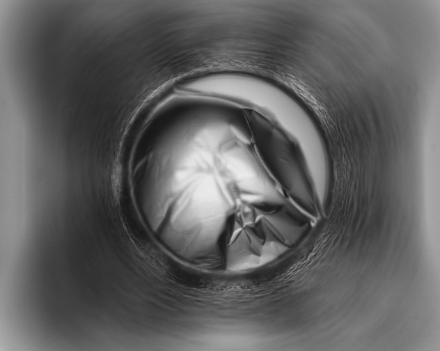 X0000096180488200802081502